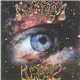 Magic Mushroom Band - R U Spaced Out 2